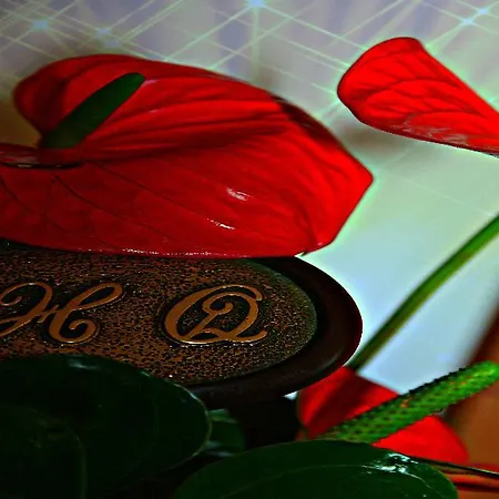 ホテル Quisisana キアンチャーノ・テルメ